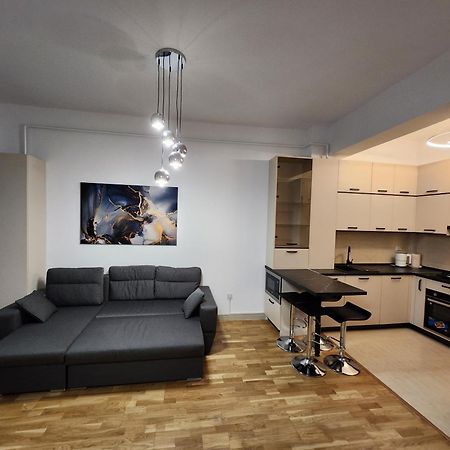 Near Airport 2 Rooms Apartments In Himson Iasi Exterior photo